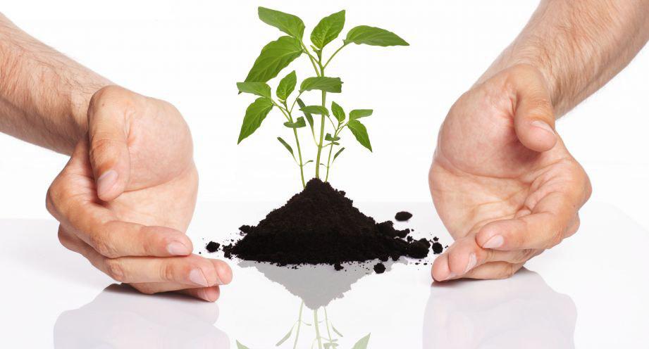 بعد از جذب استعدادها چه کنیم؟